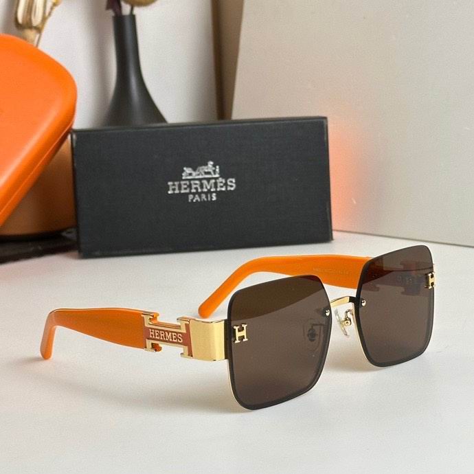 Hermes Glasses 0331